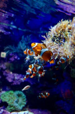 サンシャイン水族館に投稿された画像（2021/4/12）