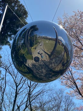 彫刻の森美術館に投稿された画像（2021/4/12）