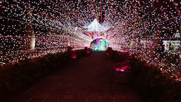 美らヤシパークオキナワ・東南植物楽園に投稿された画像（2021/4/12）