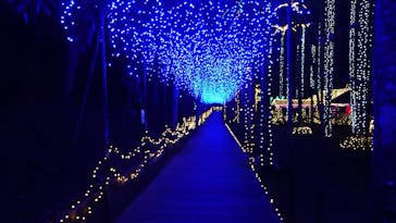 美らヤシパークオキナワ・東南植物楽園に投稿された画像（2021/4/12）