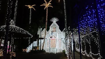 美らヤシパークオキナワ・東南植物楽園に投稿された画像（2021/4/12）