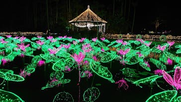 美らヤシパークオキナワ・東南植物楽園に投稿された画像（2021/4/12）