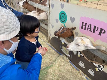 成田ゆめ牧場に投稿された画像（2021/4/12）