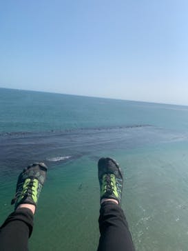 松島熱気球・パラグライダー体験に投稿された画像（2021/4/12）