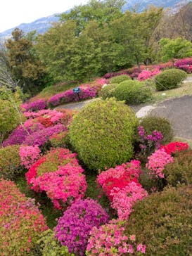 伊豆パノラマパークに投稿された画像（2021/4/12）