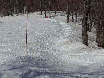 野沢温泉スキー場に投稿された画像（2021/4/12）