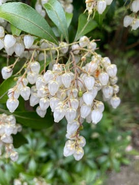 彫刻の森美術館に投稿された画像（2021/4/12）