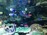サンシャイン水族館に投稿された画像（2021/4/12）
