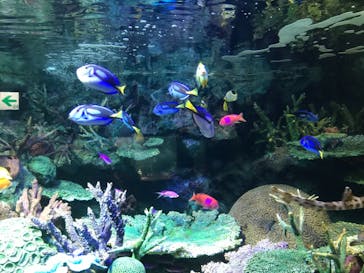 サンシャイン水族館に投稿された画像（2021/4/12）