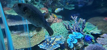 サンシャイン水族館に投稿された画像（2021/4/12）