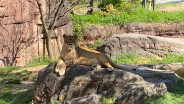 天王寺動物園に投稿された画像（2021/4/12）