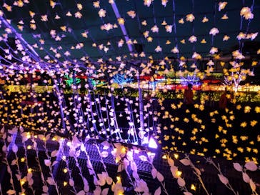 東京メガイルミに投稿された画像（2021/4/12）