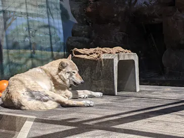 天王寺動物園に投稿された画像（2021/4/12）