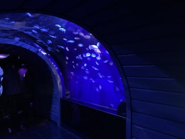 サンシャイン水族館に投稿された画像（2021/4/12）