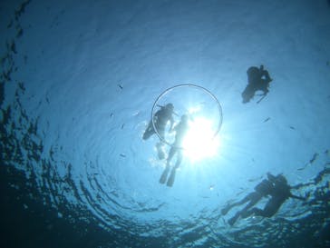 武藤潜水に投稿された画像（2021/4/13）