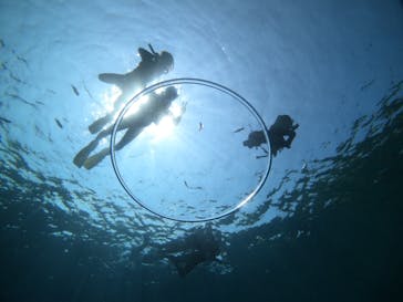 武藤潜水に投稿された画像（2021/4/13）