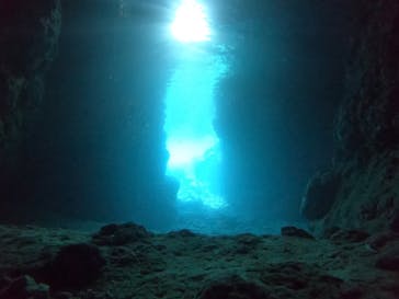 武藤潜水に投稿された画像（2021/4/13）