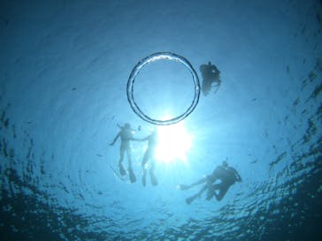 武藤潜水に投稿された画像（2021/4/13）