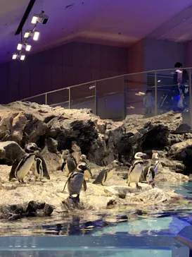 すみだ水族館に投稿された画像（2021/4/13）