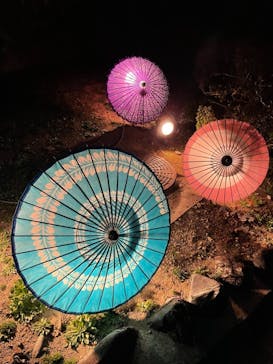 姫路城（イベント）に投稿された画像（2021/4/13）