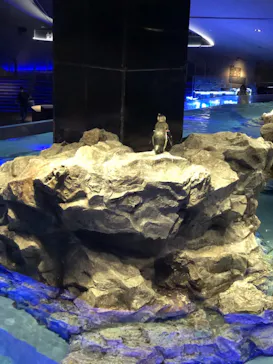 すみだ水族館に投稿された画像（2021/4/13）