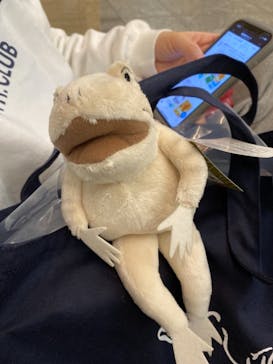 特別展「国宝　鳥獣戯画のすべて」に投稿された画像（2021/4/13）