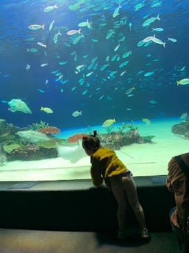 サンシャイン水族館に投稿された画像（2021/4/13）