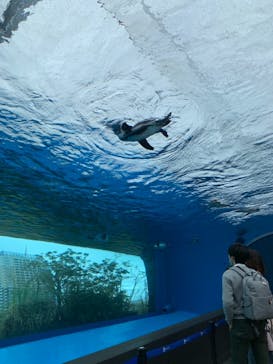サンシャイン水族館に投稿された画像（2021/4/13）