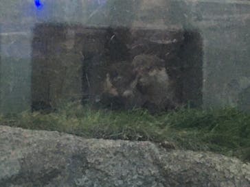 サンシャイン水族館に投稿された画像（2021/4/13）