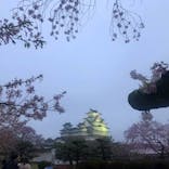 姫路城（イベント）に投稿された画像（2021/4/13）