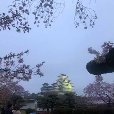 姫路城（イベント）に投稿された画像（2021/4/13）