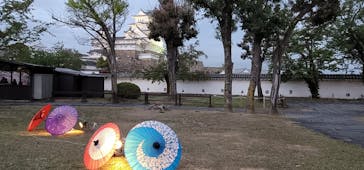 姫路城（イベント）に投稿された画像（2021/4/13）