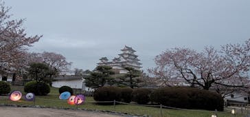 姫路城（イベント）に投稿された画像（2021/4/13）