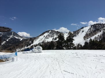 志賀高原マウンテンリゾートに投稿された画像（2021/4/13）