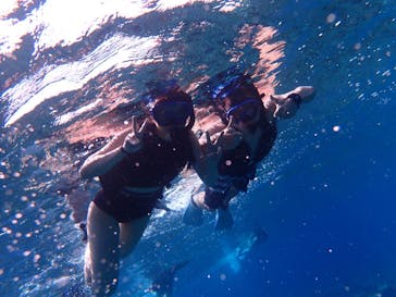 西表島 ADVENTURE PiPi（アドベンチャーピピ）に投稿された画像（2021/4/13）