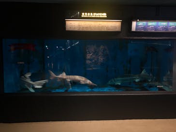 京急油壺マリンパークに投稿された画像（2021/4/13）