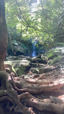 西表島 ADVENTURE PiPi（アドベンチャーピピ）に投稿された画像（2021/4/13）