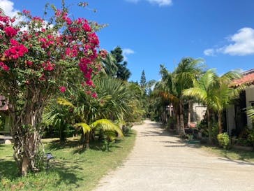 西表島 ADVENTURE PiPi（アドベンチャーピピ）に投稿された画像（2021/4/13）