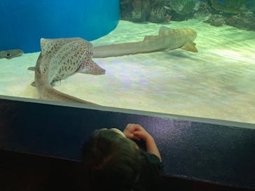 マクセル アクアパーク品川に投稿された画像（2021/4/13）