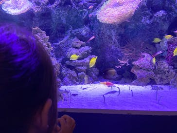 マクセル アクアパーク品川に投稿された画像（2021/4/13）