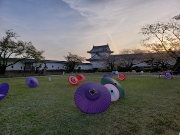 姫路城（イベント）に投稿された画像（2021/4/14）