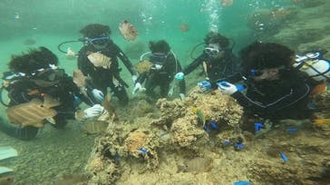 青の洞窟専門店　沖縄ダイビングショップ和に投稿された画像（2021/4/14）