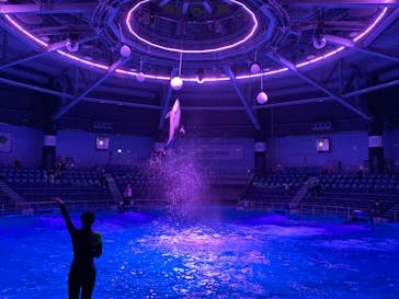 マクセル アクアパーク品川に投稿された画像（2021/4/14）