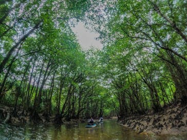 西表島 ADVENTURE PiPi（アドベンチャーピピ）に投稿された画像（2021/4/14）