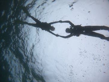 武藤潜水に投稿された画像（2021/4/15）