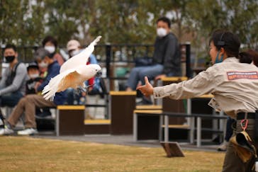 神戸どうぶつ王国に投稿された画像（2021/4/15）