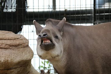 神戸どうぶつ王国に投稿された画像（2021/4/15）