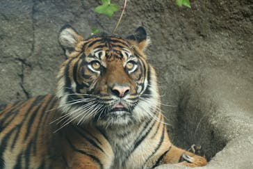 神戸どうぶつ王国に投稿された画像（2021/4/15）