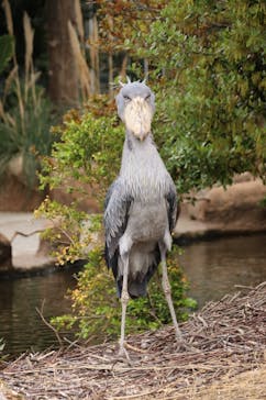 神戸どうぶつ王国に投稿された画像（2021/4/15）