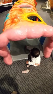 大分マリーンパレス水族館 「うみたまご」に投稿された画像（2021/4/15）